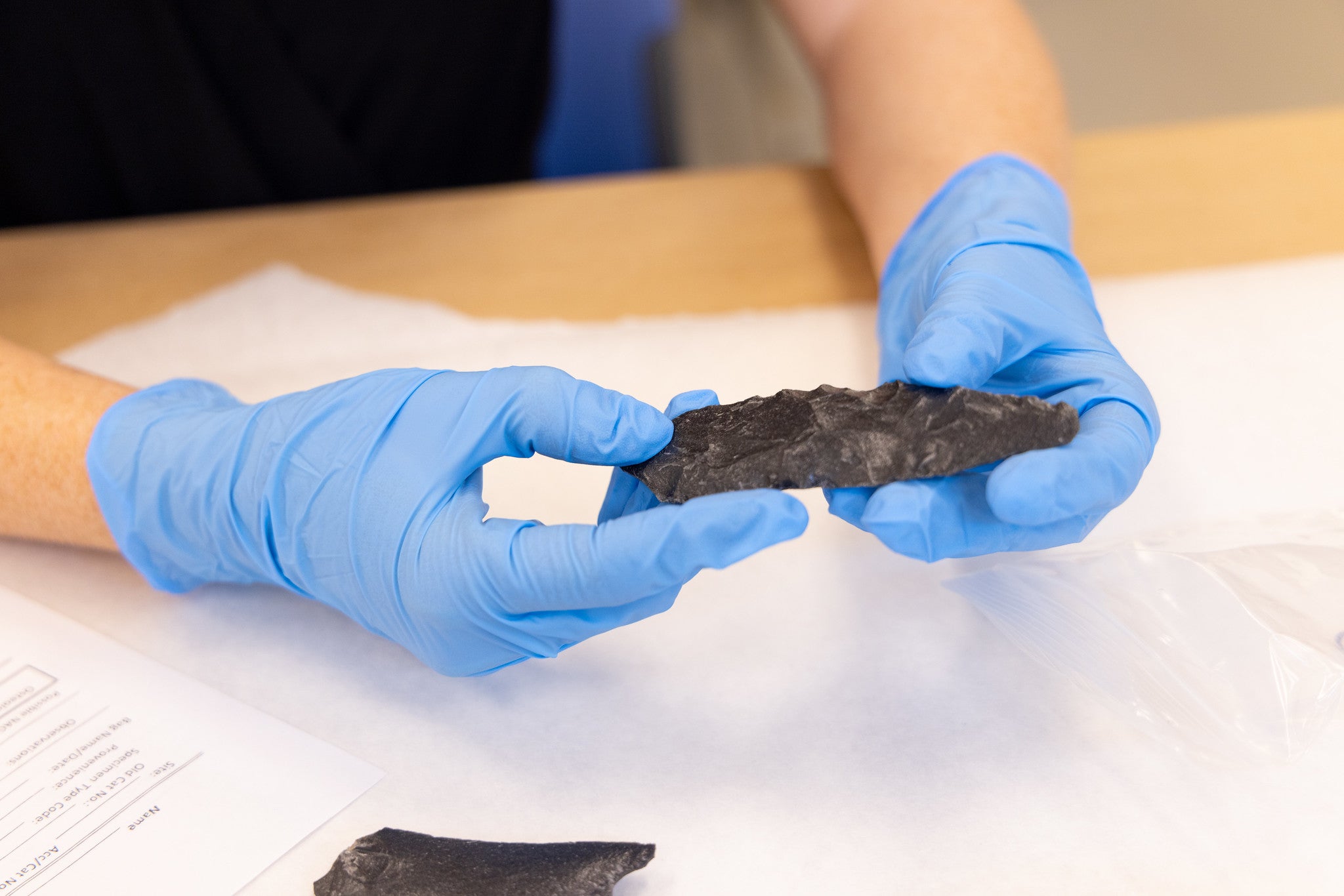 Gloved hands hold an archaeological find