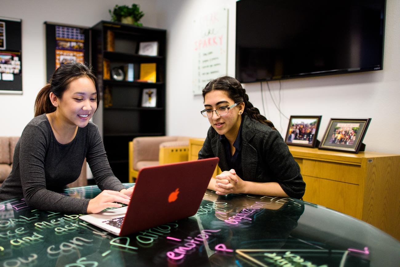 Research Apprenticeship Program