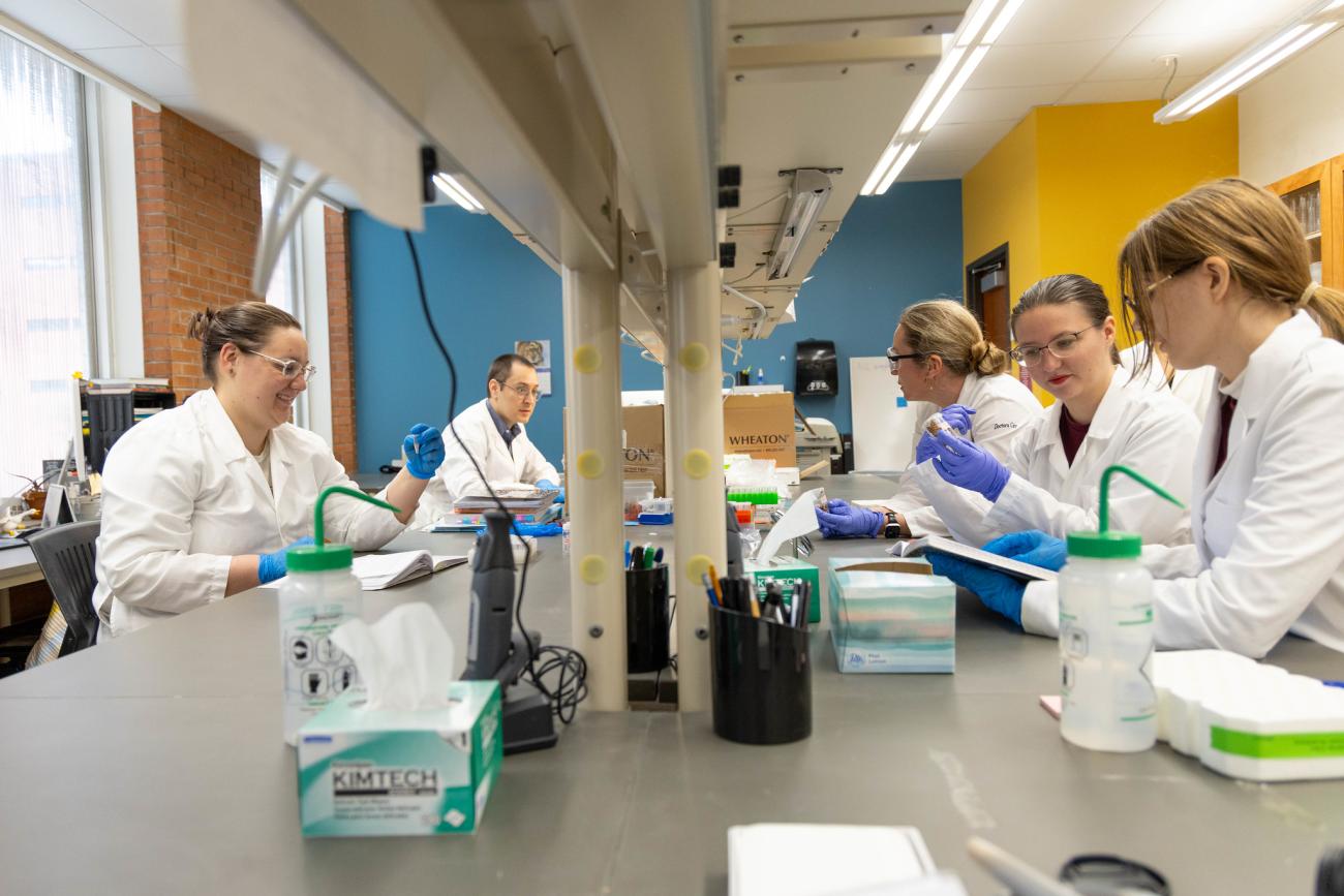 Bioarchaeology