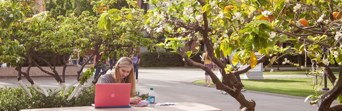 Undergraduate Advising